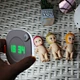 sensor light